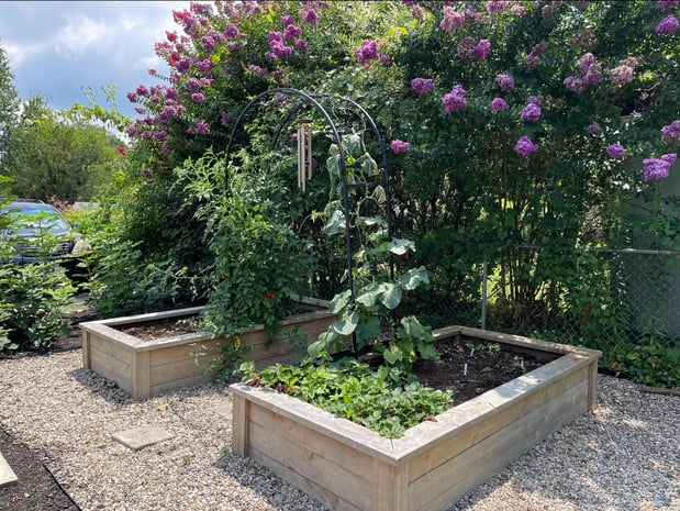 Images Edible Gardens Inc