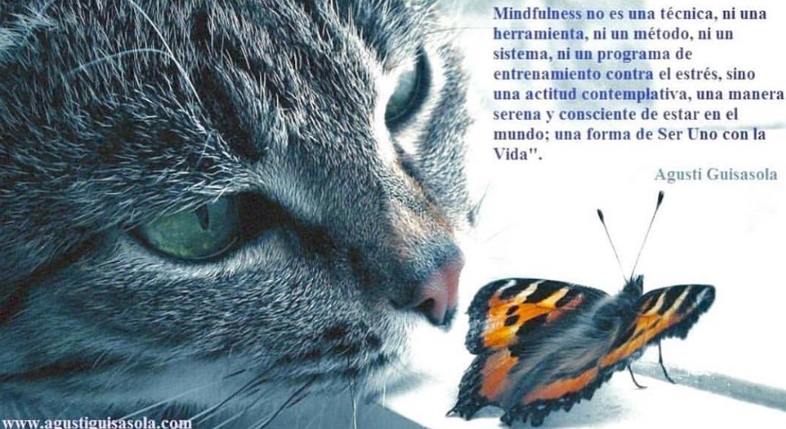 Images Filosofiaestoica.online