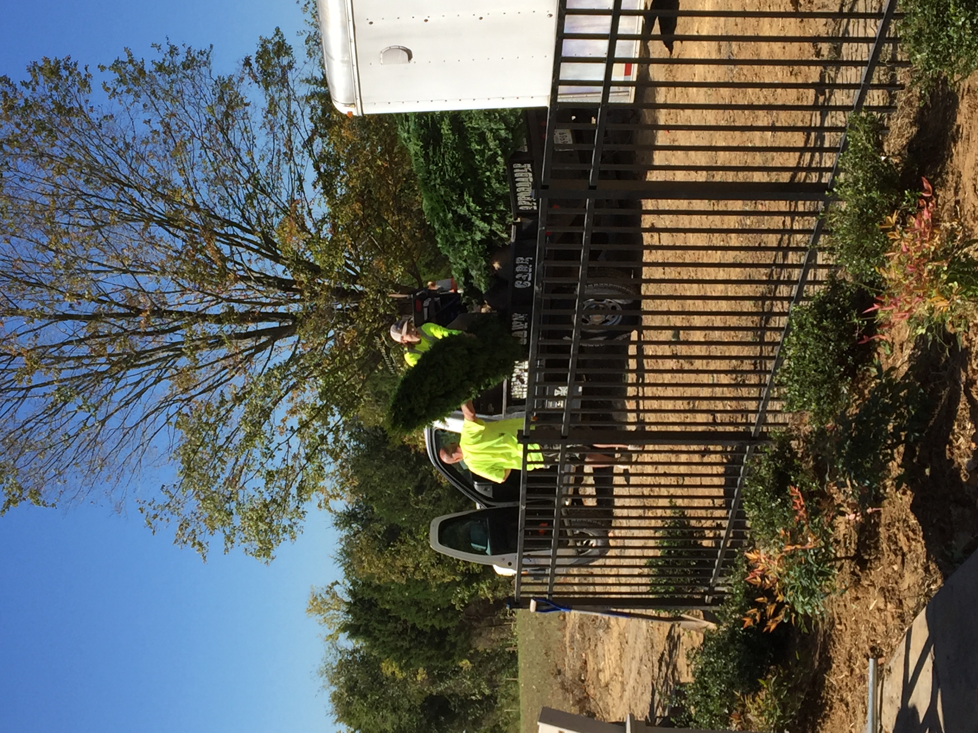 Affordable Lawn Care Image