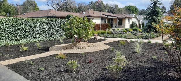 Images Paz Landscape