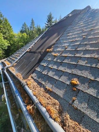 Images NJM Roof & Gutter Cleaning