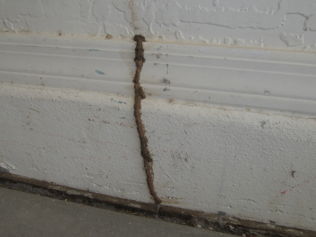 Images Bills Pest Termite Control