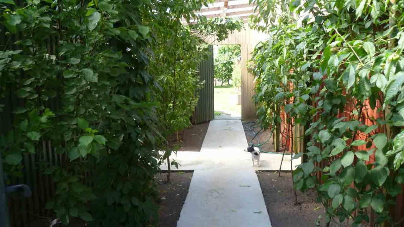 Images Fugle & Dyrehandler Arnfred M Madsen