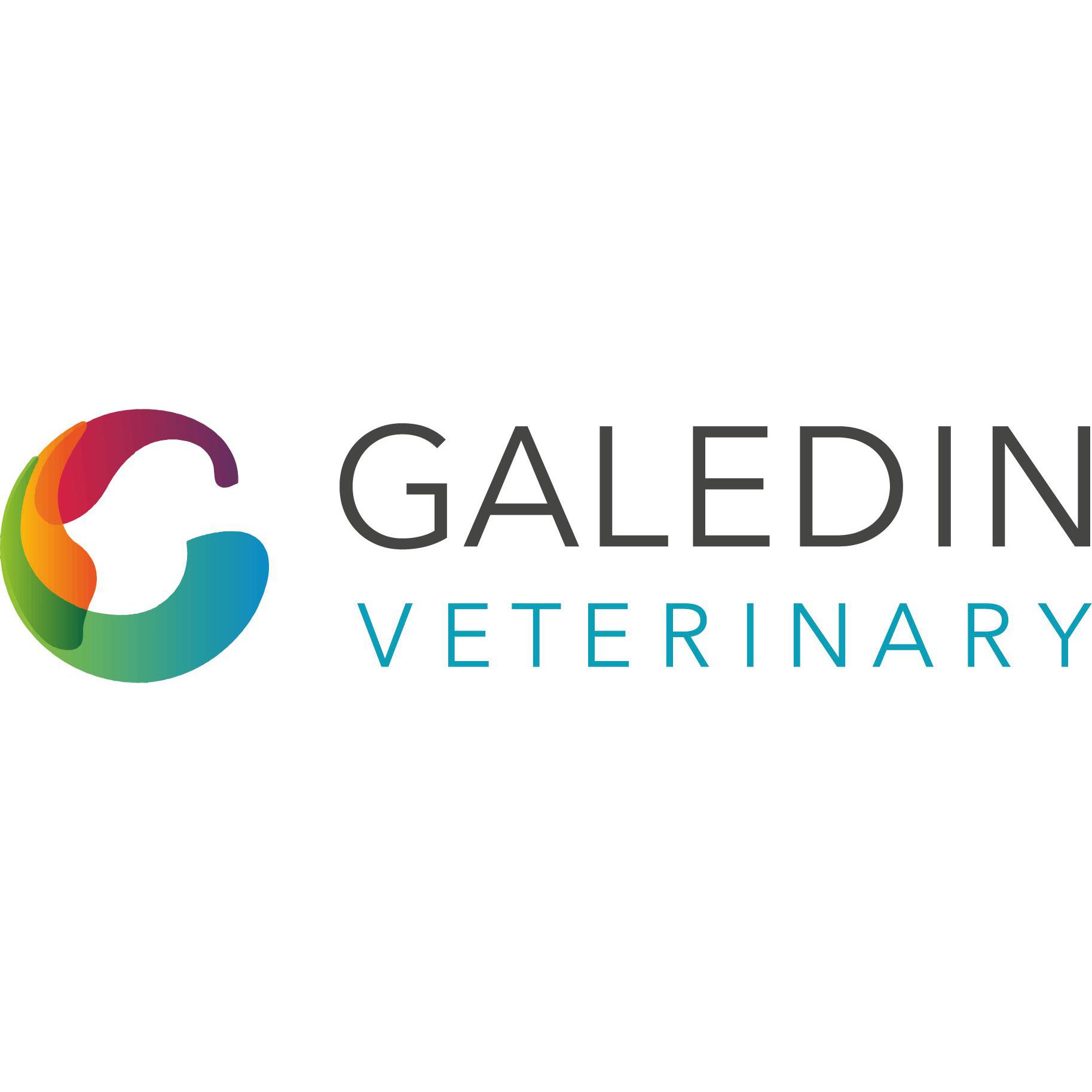 Galedin Vets, Eyemouth Logo