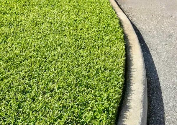 A flawless, razor-sharp lawn edge running precisely along a concrete curb. This close-up highlights our "detail-first" philosophy, showcasing professional lawn edging and thorough walkway clipping cleanup in Waterloo, NY by JB Lawncare Services.