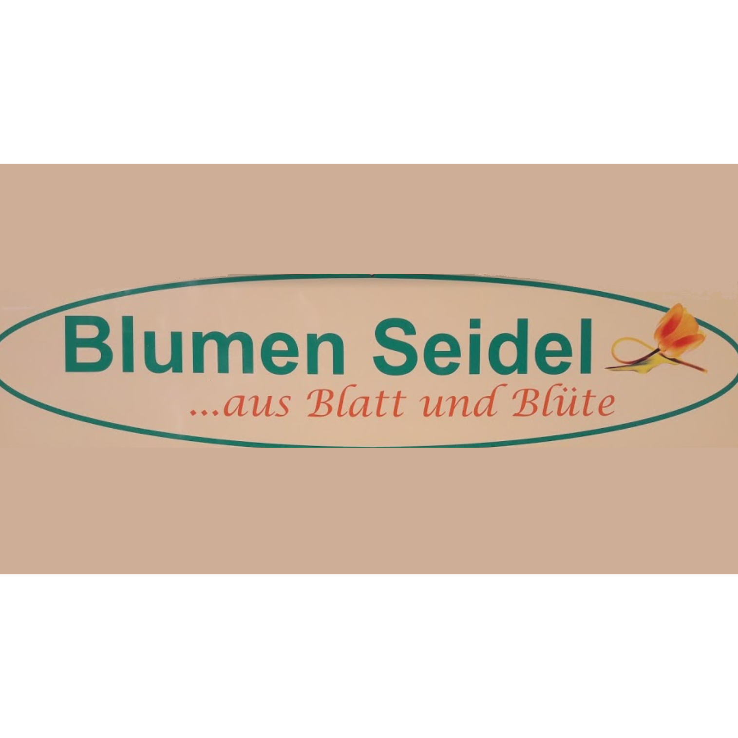 Logo Seidel Logo