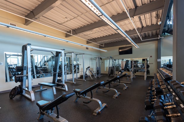 Images Haverford Area YMCA