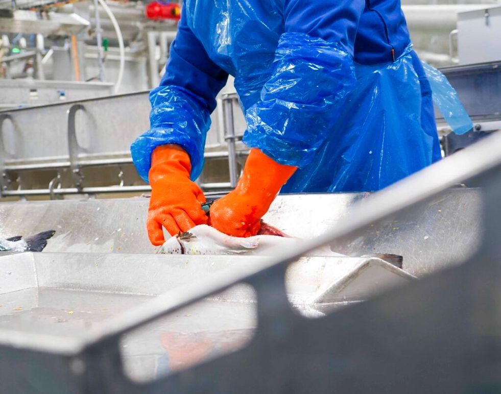 Images HARDANGER SEAFOOD AS