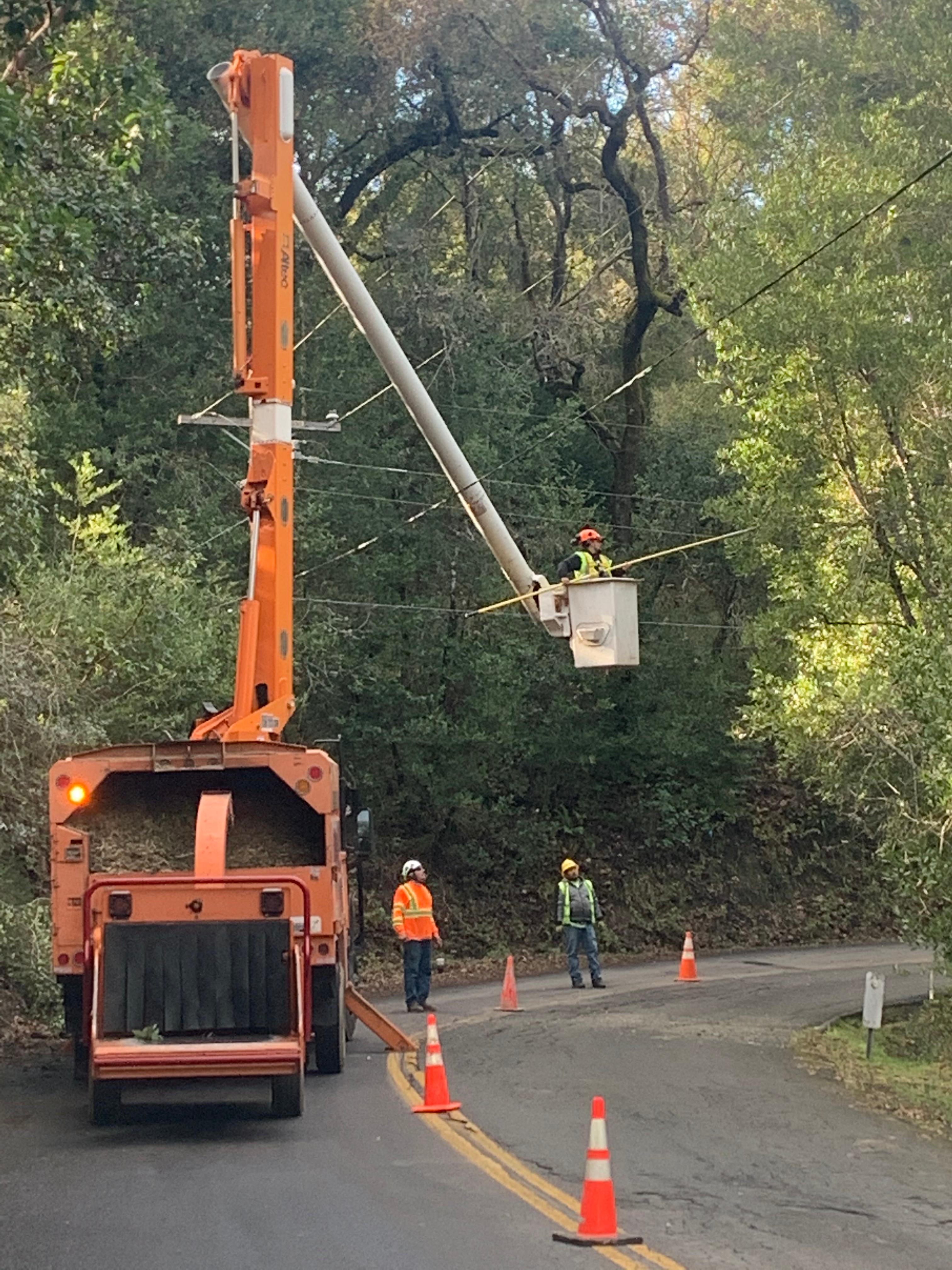 Sierra Arbor Works Photo