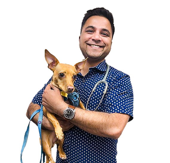 Pet Wellness Exams 