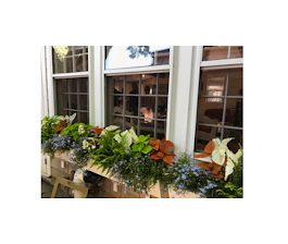 Images Deborah L. Wilson Garden Services LLC