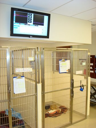 Images VCA Sacramento Veterinary Referral Center