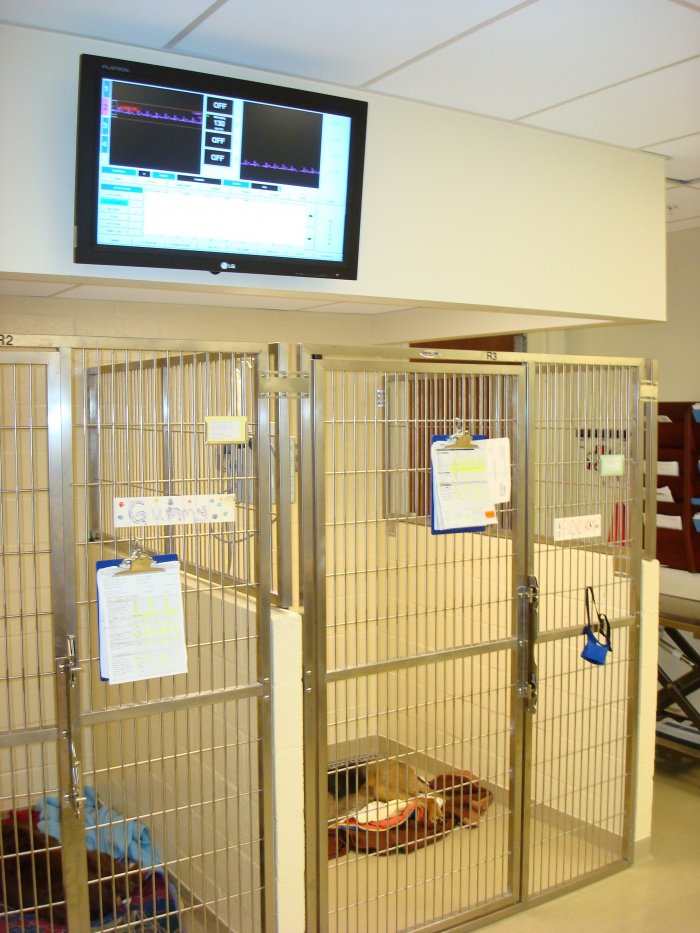 Image 5 | VCA Sacramento Veterinary Referral Center