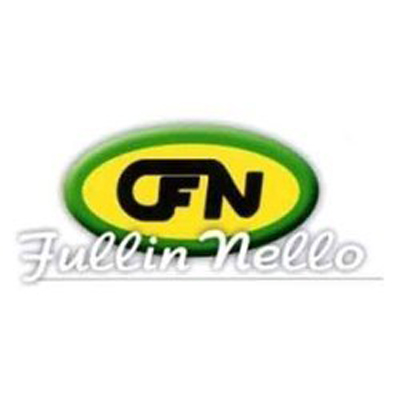 Cfn Verniciatura Logo