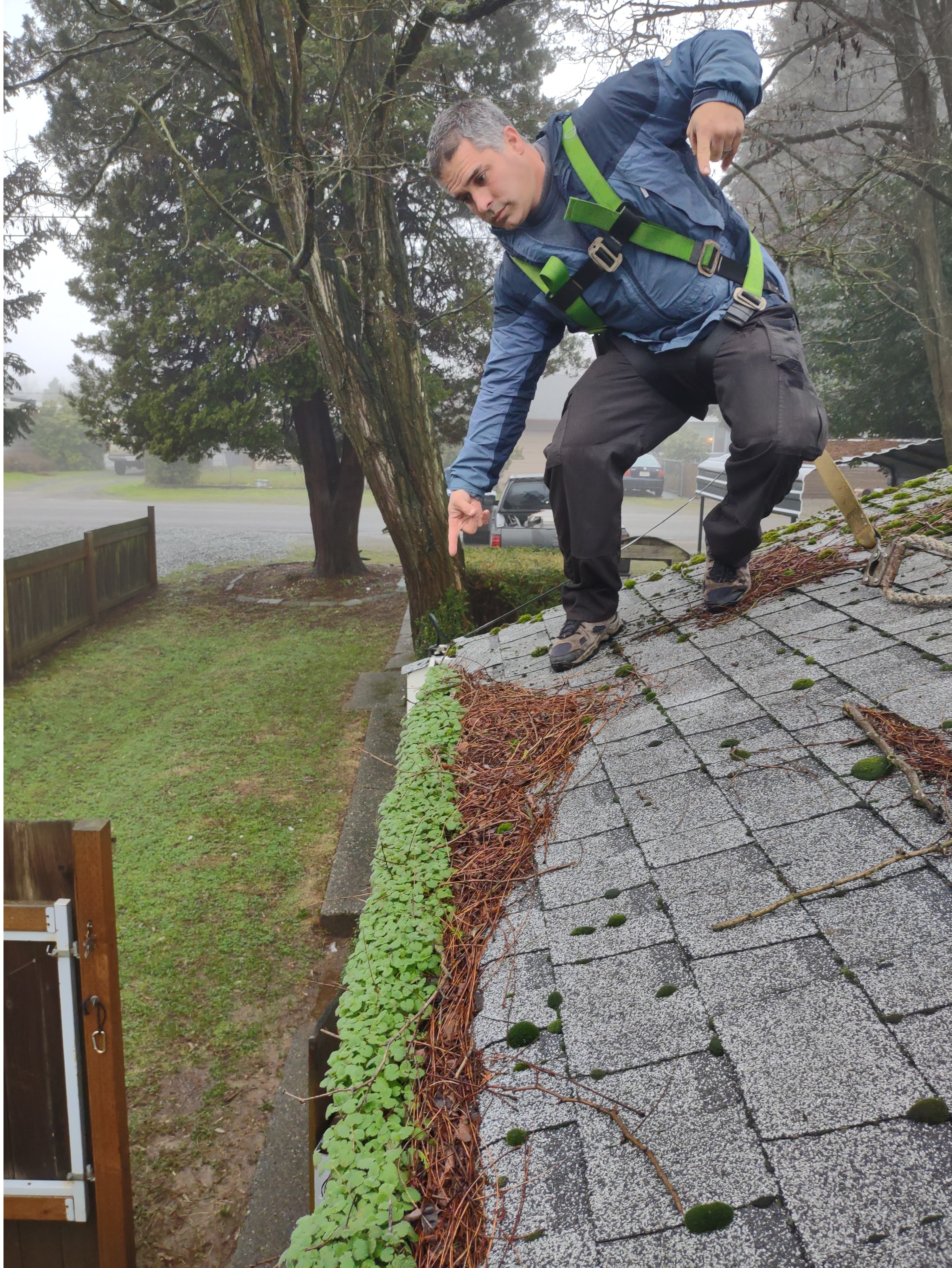 A person wearing a safety harness clearing leaves and debris from a roof gutter surrounded by trees.