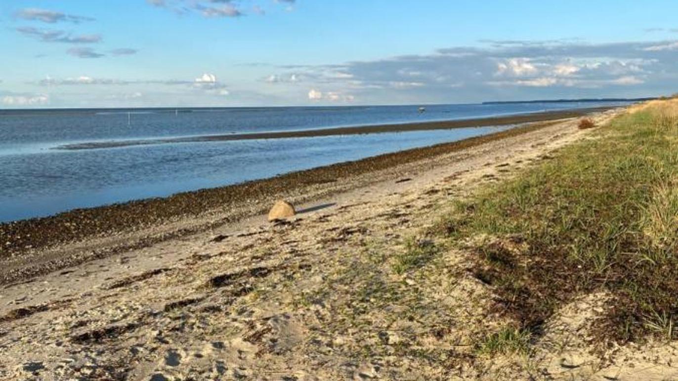 Images Lystrup Strand Ferieboliger