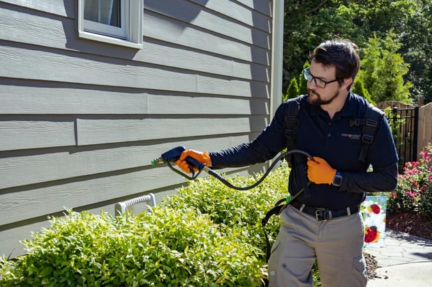 Images Pest & Termite Consultants