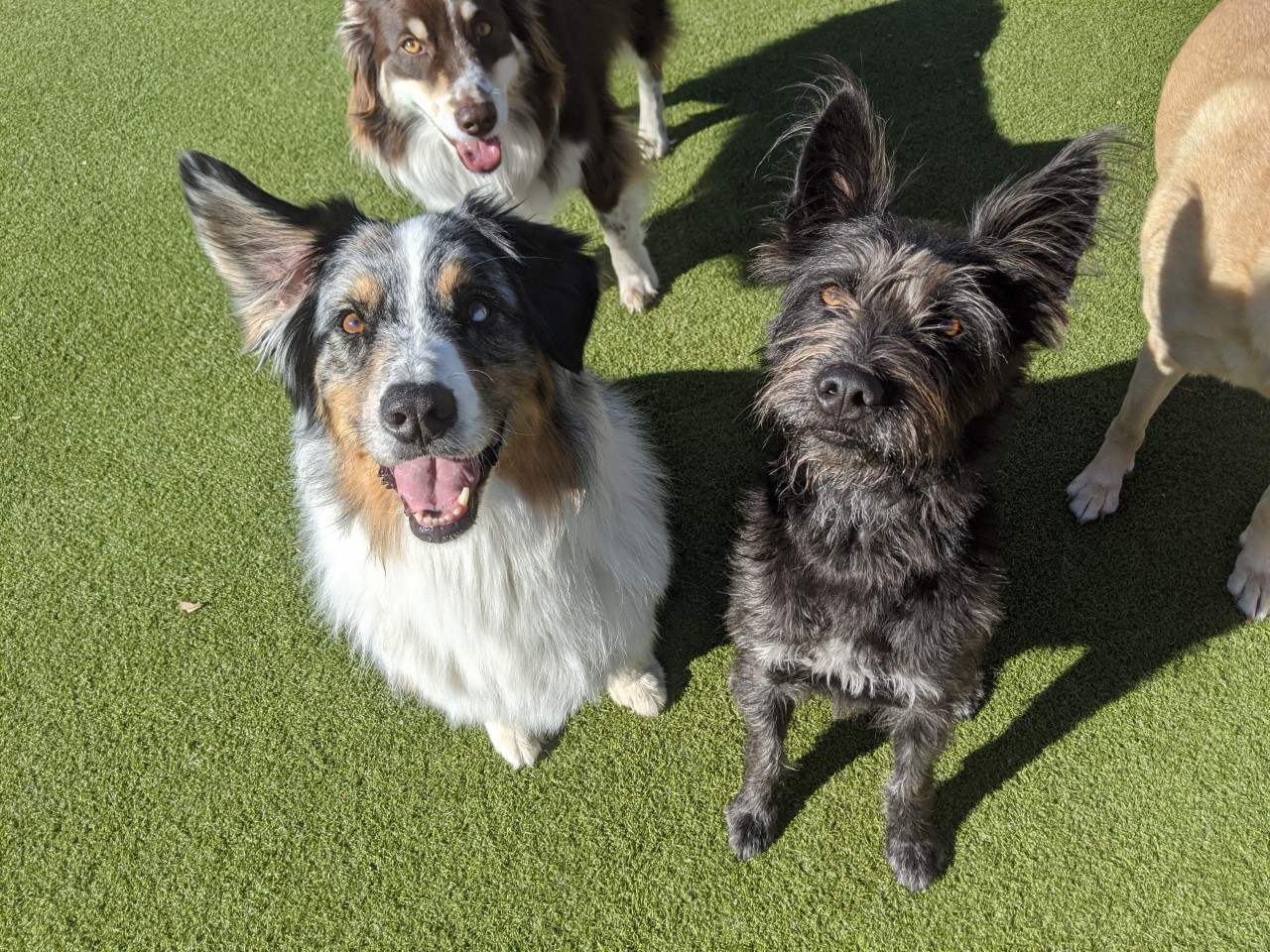 Daycare buddies!