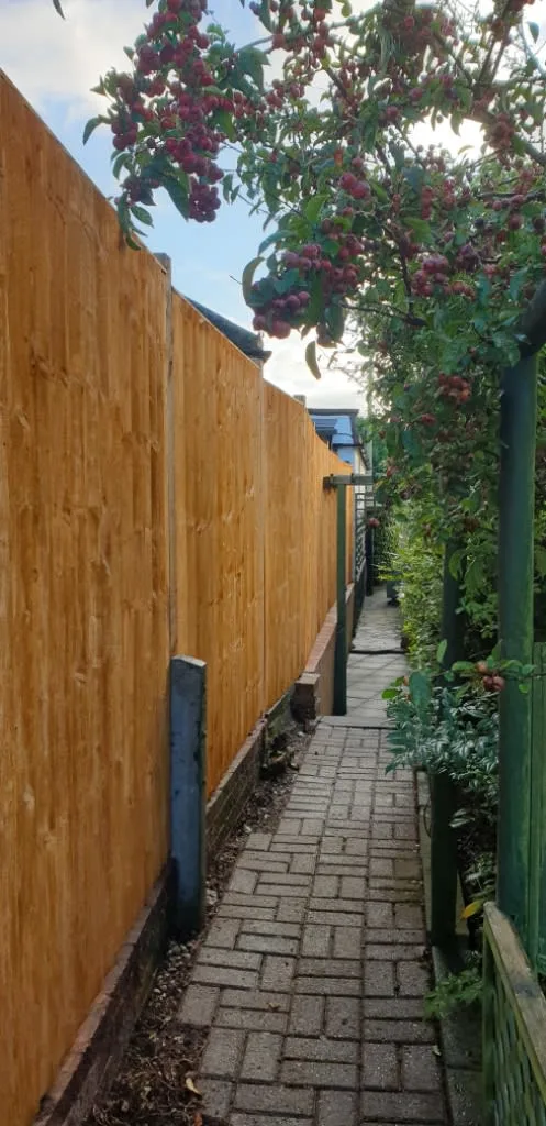 Images Kingston Views Landscaping