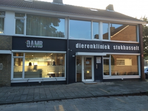 Foto's Dierenartsen Midden Brabant (DAMB)