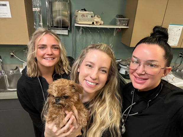 Images Adobe Animal Hospital