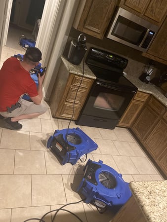 Images Elements of Restoration