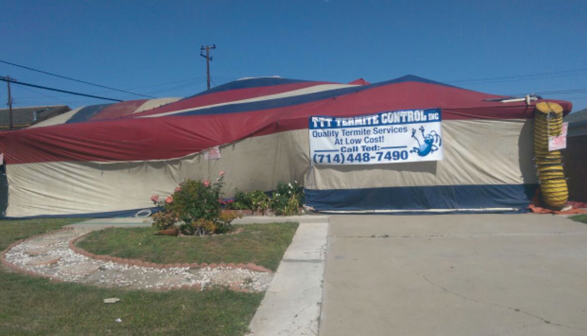 TTT Termite Control Company, Inc Photo