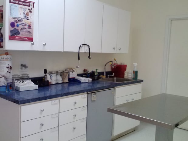 Images Layhill Animal Hospital