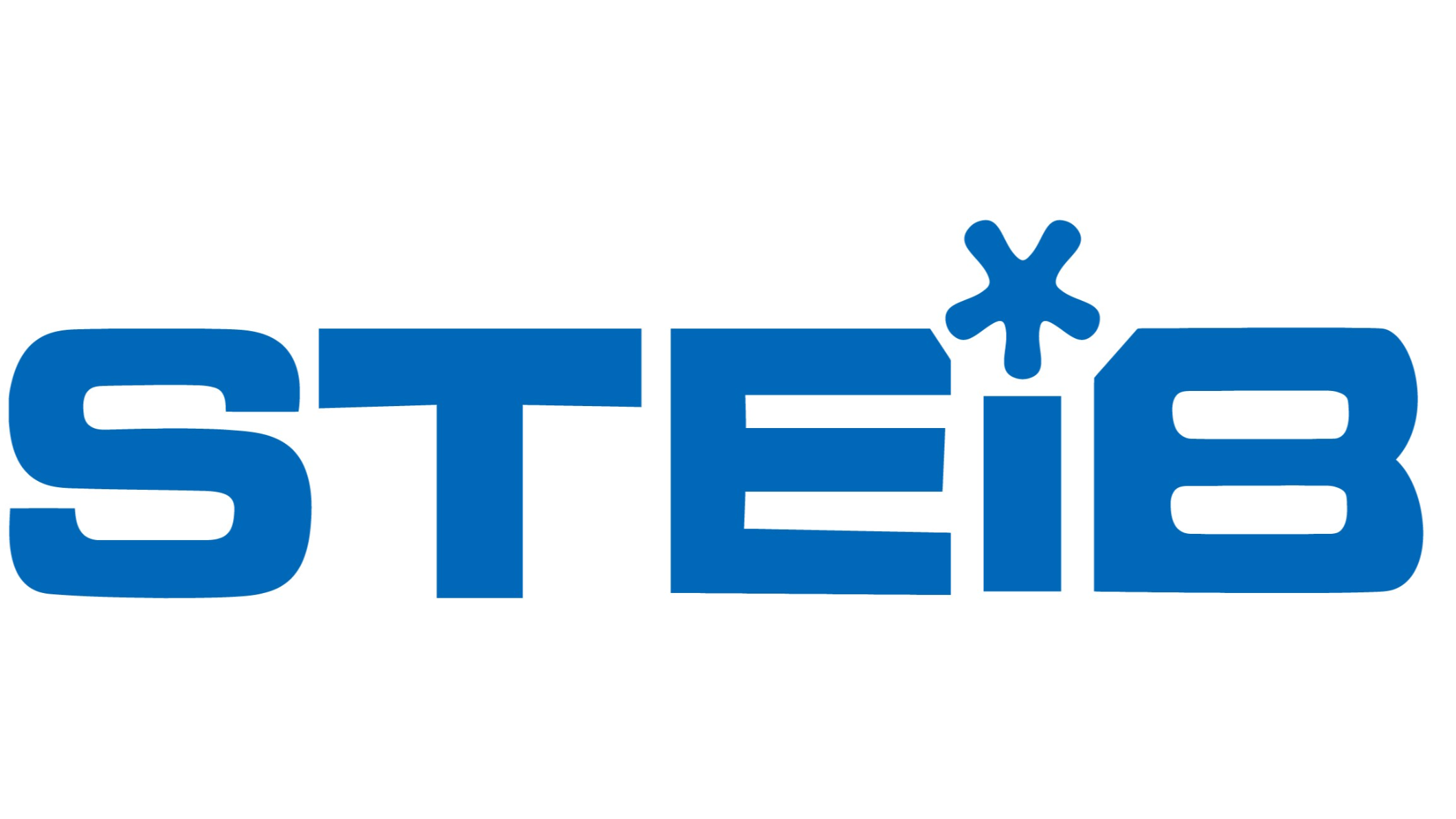Steib GmbH, Marktstraße 6 in Lindenberg im Allgäu
