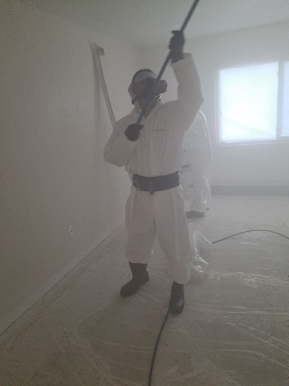 professional mold removal