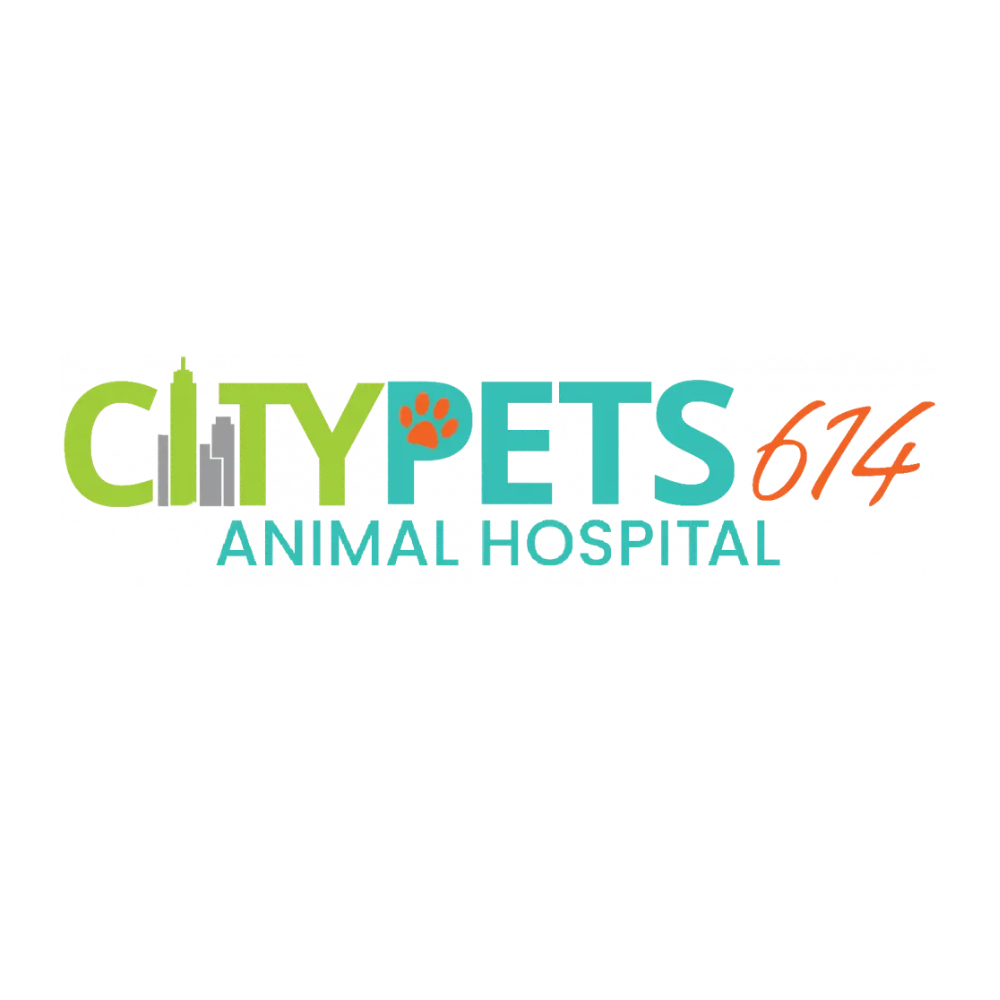 CityPets614 - Columbus, OH 43215 - (614)388-8001 | ShowMeLocal.com