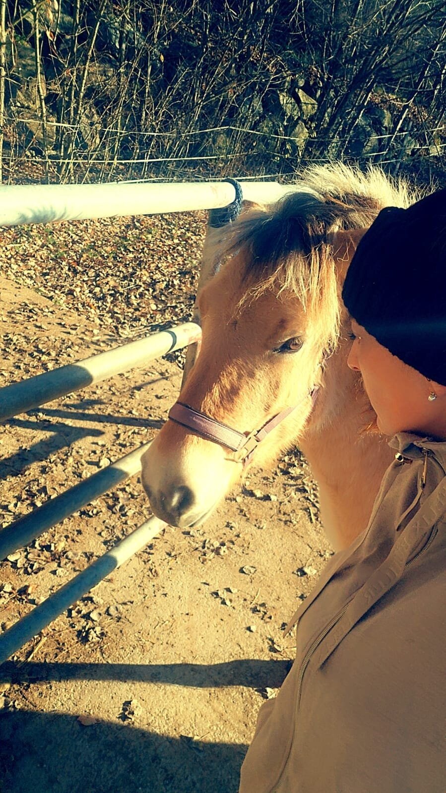 Bild 2 von Martina's Seelen Duft