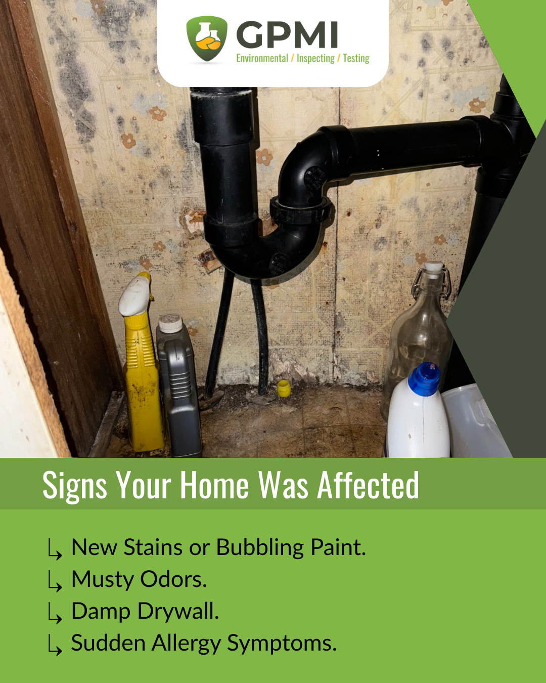Basement or utility-area inspection photo showing stained walls and structural materials being checked for moisture, mold, or water intrusion.