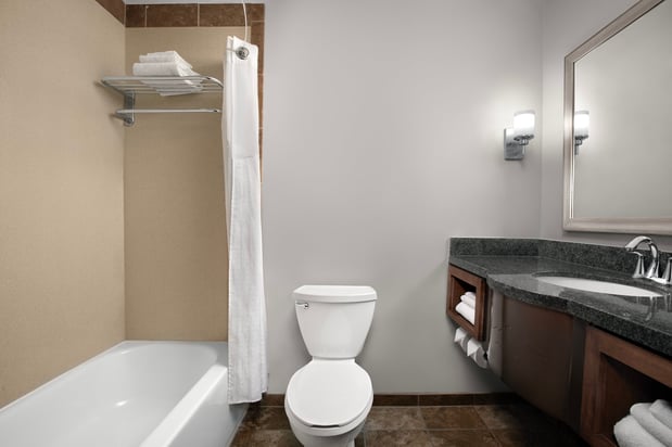 Images Holiday Inn & Suites Durango Downtown by IHG