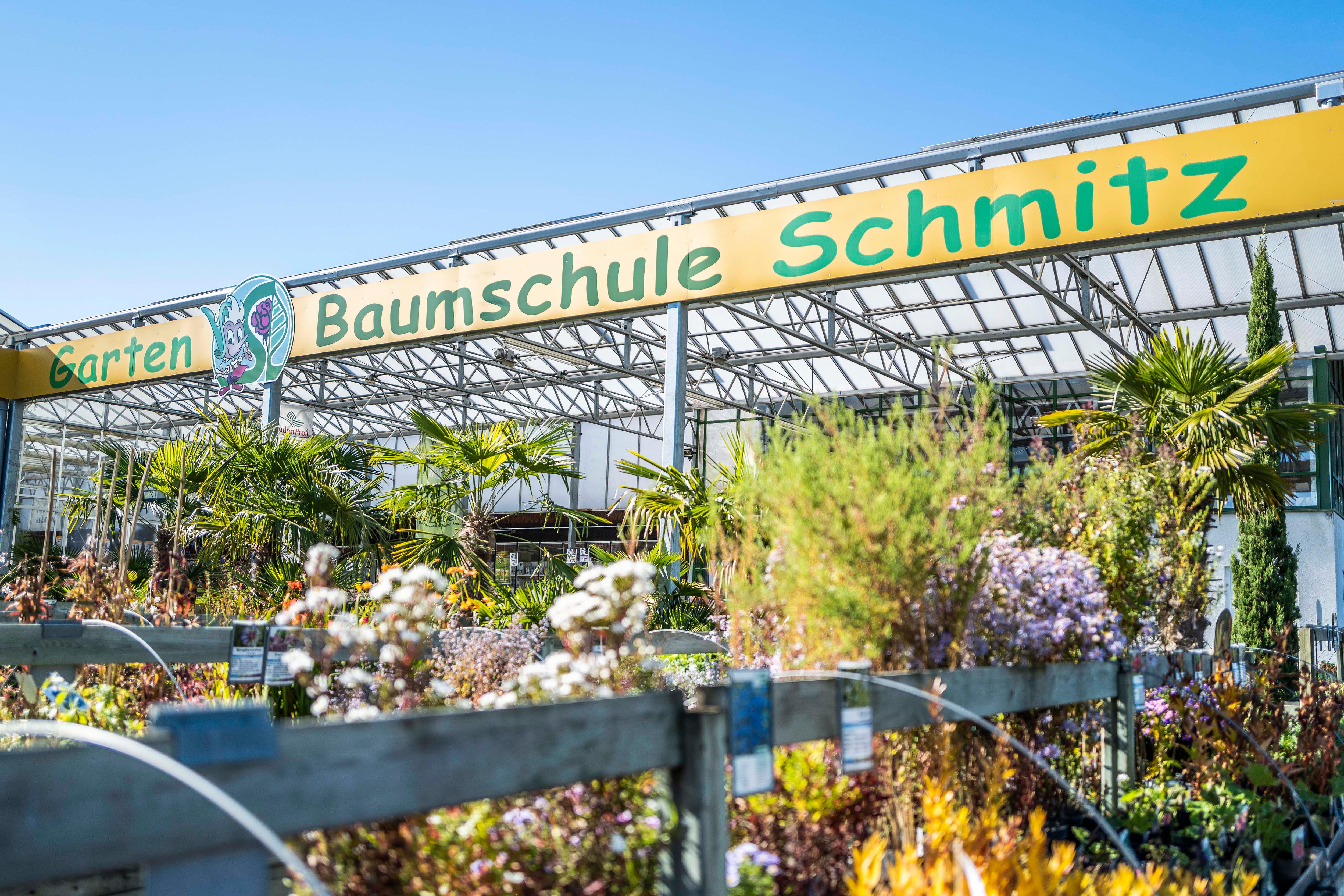 GartenBaumschule Schmitz Zülpich