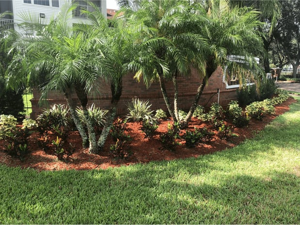 Images Schurlknight Landscaping