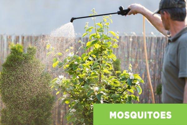 Images Nextgen Pest Solutions