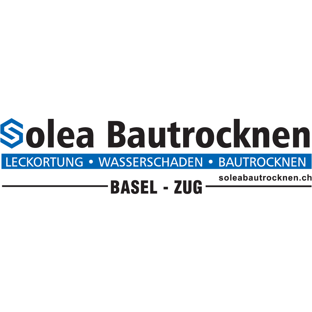 Solea Bautrocknen AG, Zweigniederlassung Cham Logo