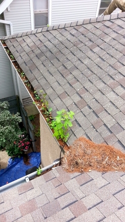 Images High Maintenance Services