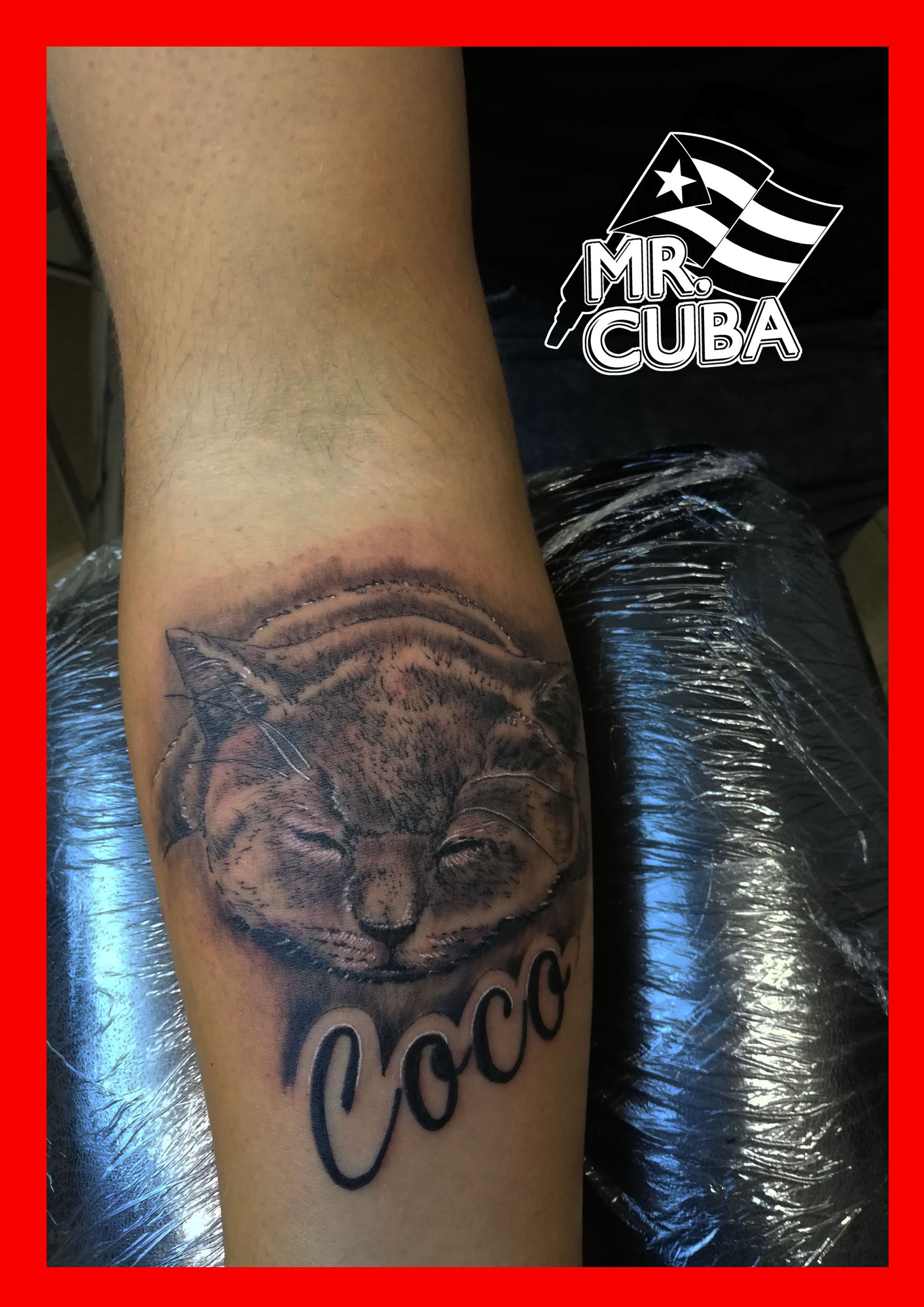 Images Tattoo Y Piercing The Power Ink