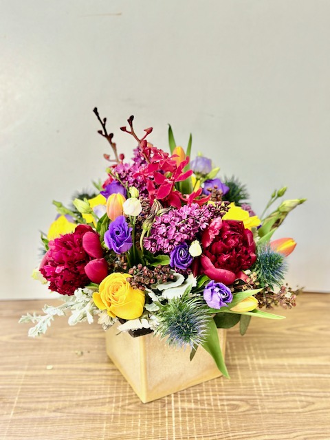 Images Jane's Roses & Flowers