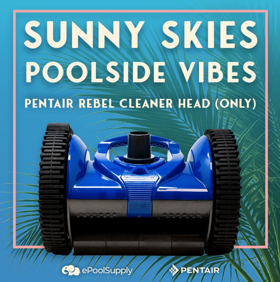 Pentair Rebel Cleaner from epoolsupply