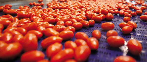 Images Lorenzini Società Agricola Naturamica