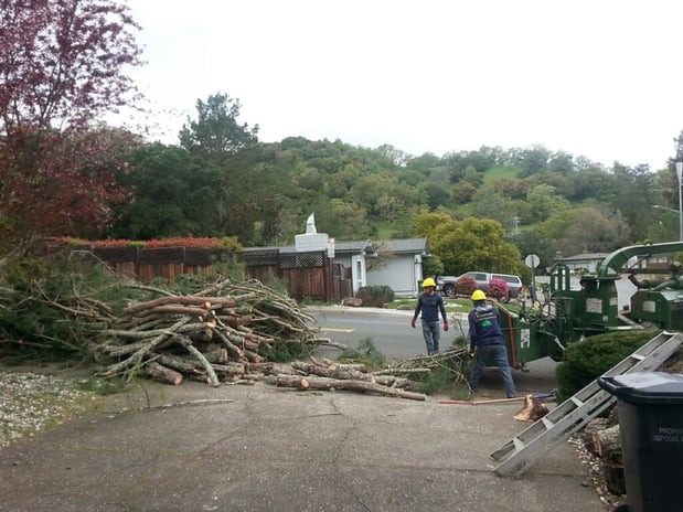 Images JC Tree Care & Landscape