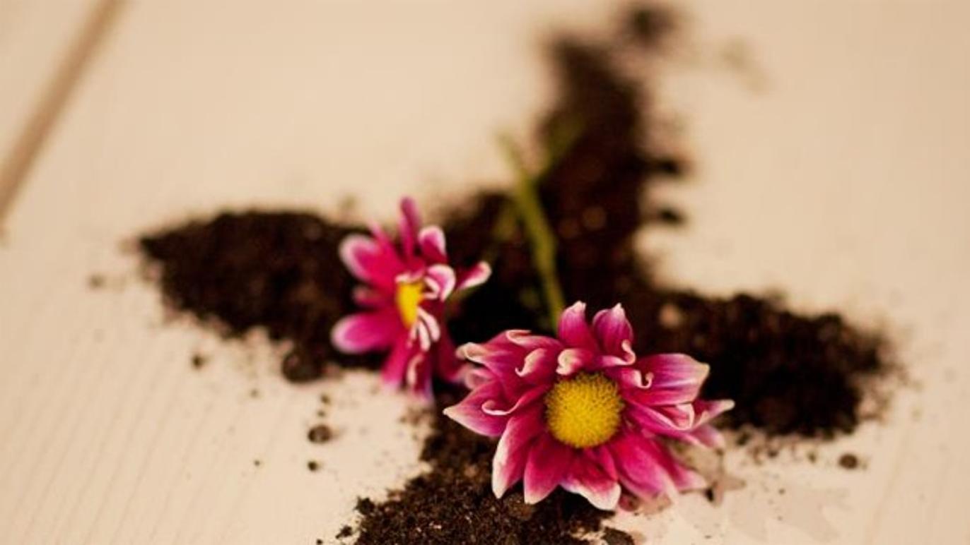 Images Svenska kyrkan