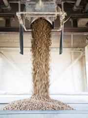 NIKOLAUS MÜLLER KALKWERK-NATURSTEINWERKE GMBH U. CO KG AHÜTTE, Industriestrasse 6 in Üxheim