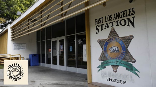 Images Buda Lifeline Bail Bonds, Inc.