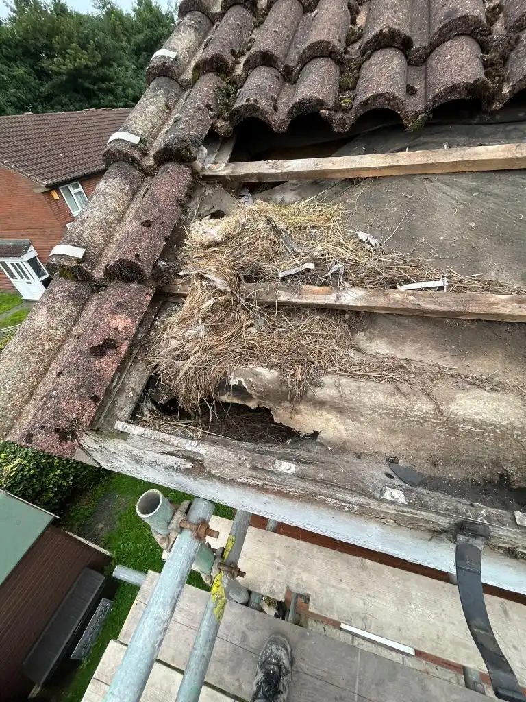 Images MTC Roofline