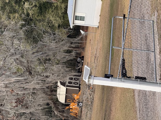 Images Trent's Tree Service The Neighborhood Arborist LLC