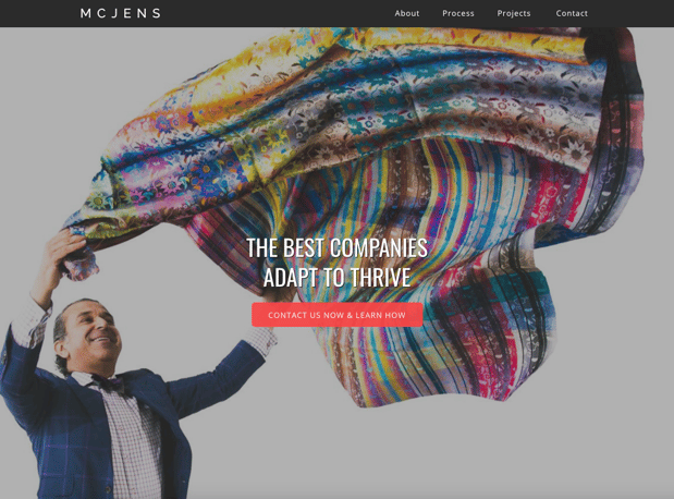 Images Sapien Designs SEO digital marketing hub